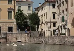 特雷维索主场告捷，取得连胜势头 